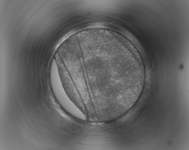 X0000115600858200912221145