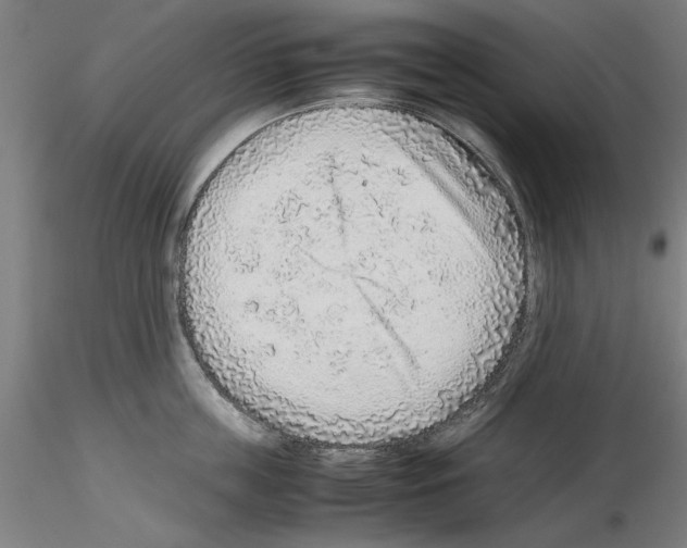 X0000115600859200912221145