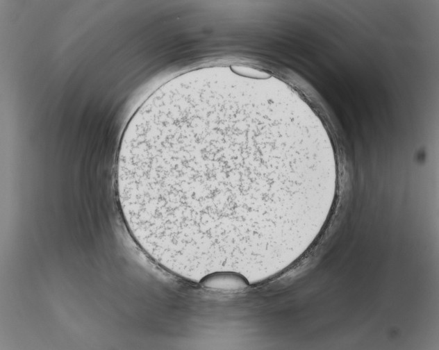 X0000115600860200912221145