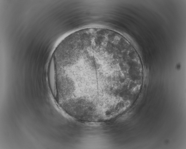 X0000115600862200912221145