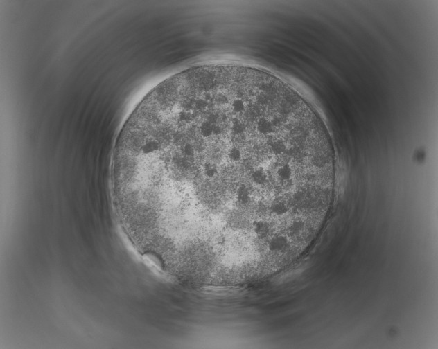 X0000115600863200912221145