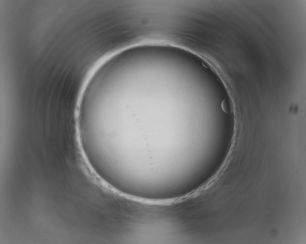 X0000115600864200912221145