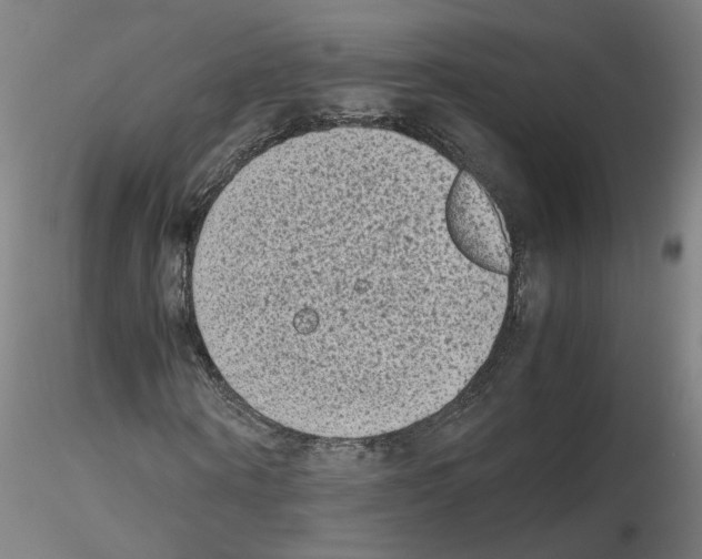 X0000115600866200912221144