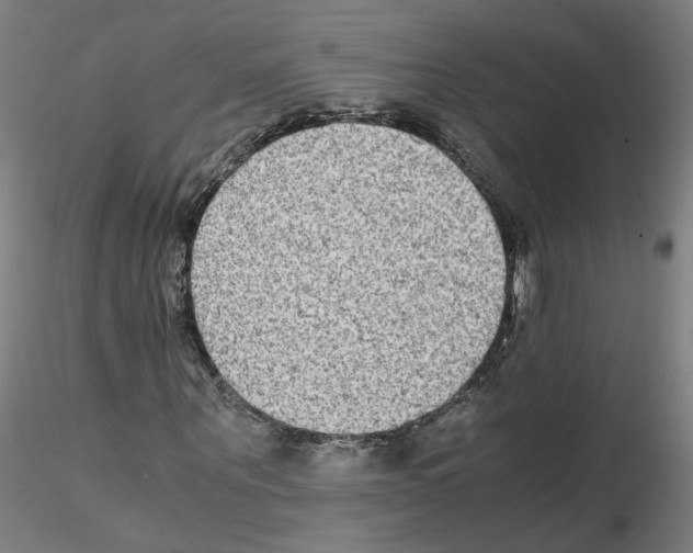 X0000115600867200912221144