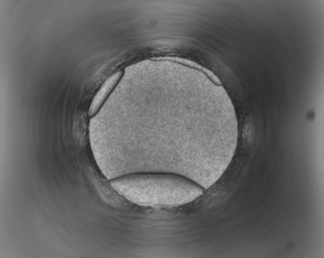 X0000115600868200912221144