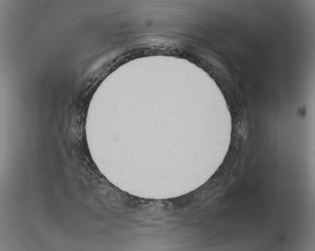 X0000115600869200912221144