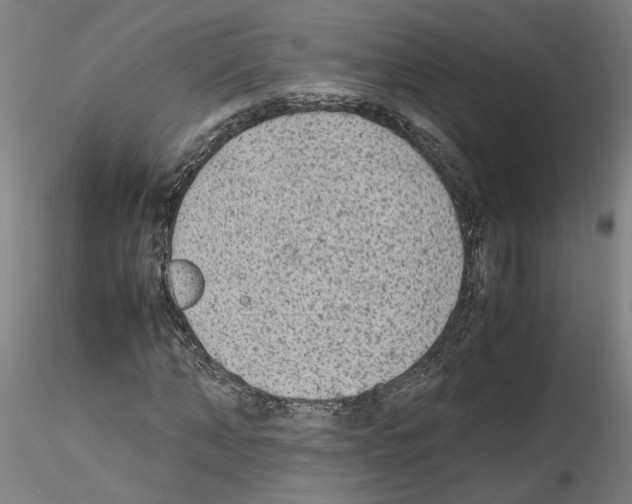 X0000115600870200912221144