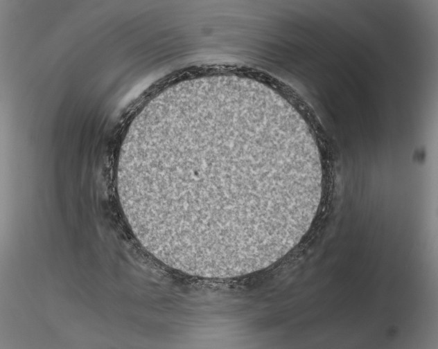 X0000115600871200912221144