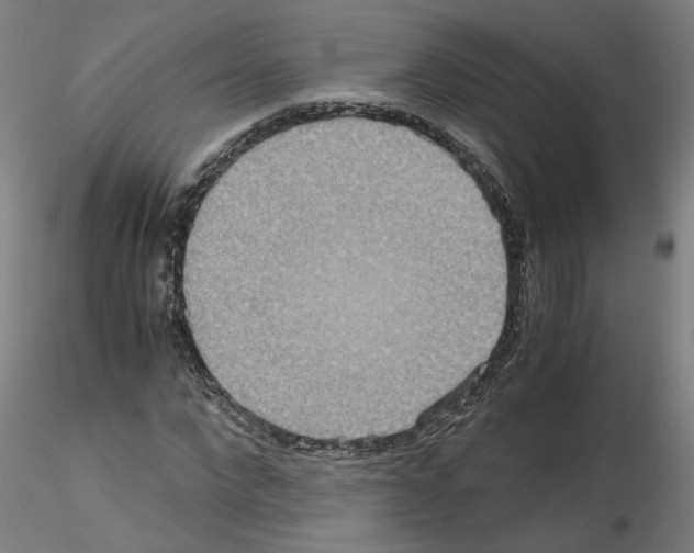 X0000115600872200912221144