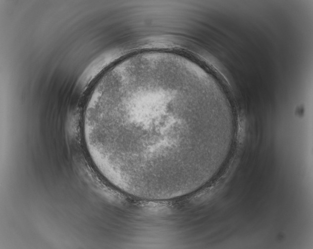 X0000115600874200912221144