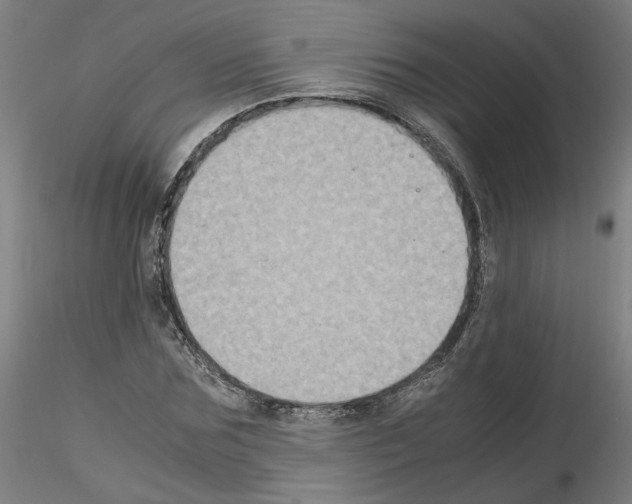 X0000115600875200912221144