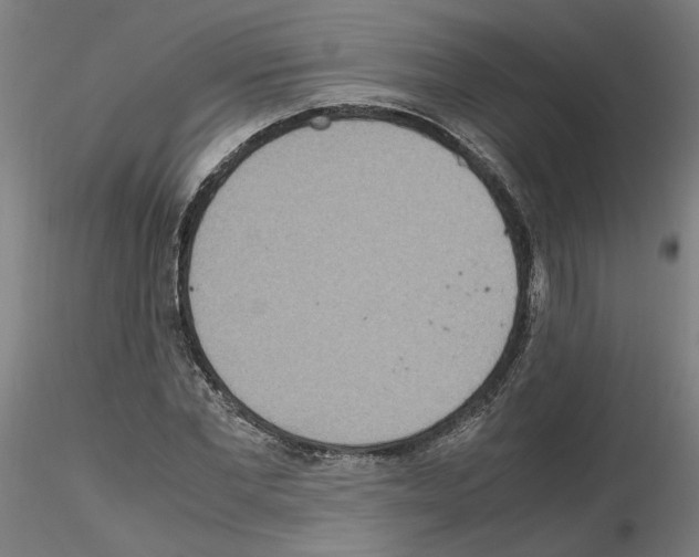 X0000115600877200912221144