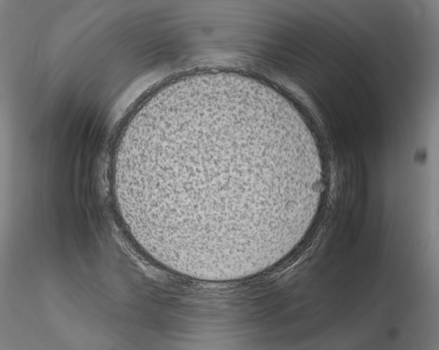 X0000115600878200912221144