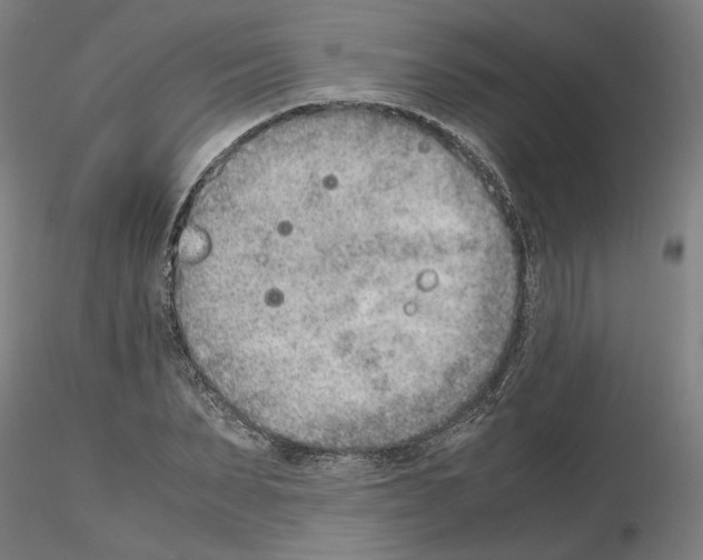 X0000115600879200912221144