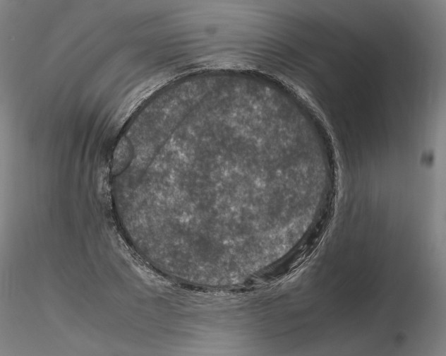 X0000115600881200912221144