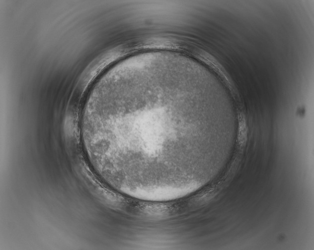 X0000115600882200912221144