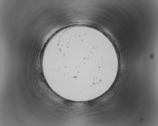 X0000115600883200912221144