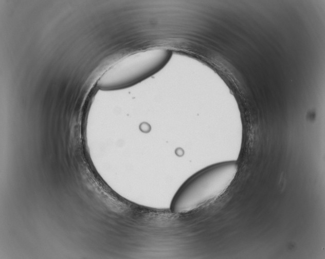 X0000115600884200912221144