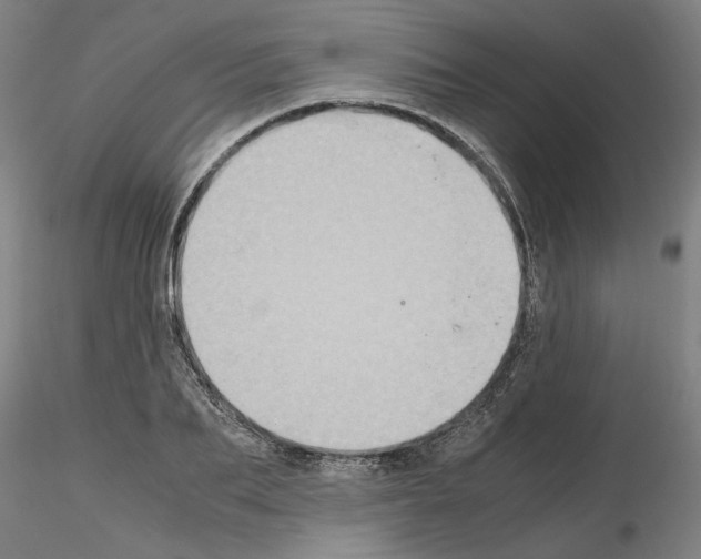 X0000115600887200912221144