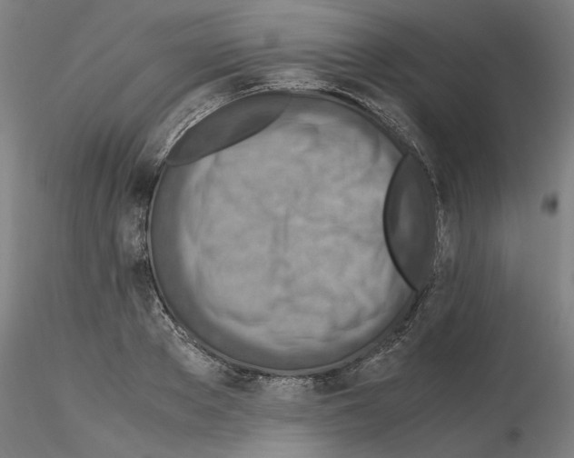 X0000115600889200912221144