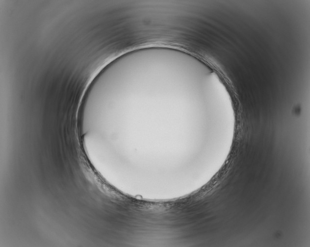 X0000115600892200912221144