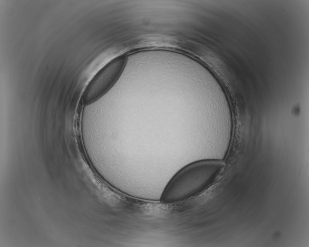 X0000115600893200912221144