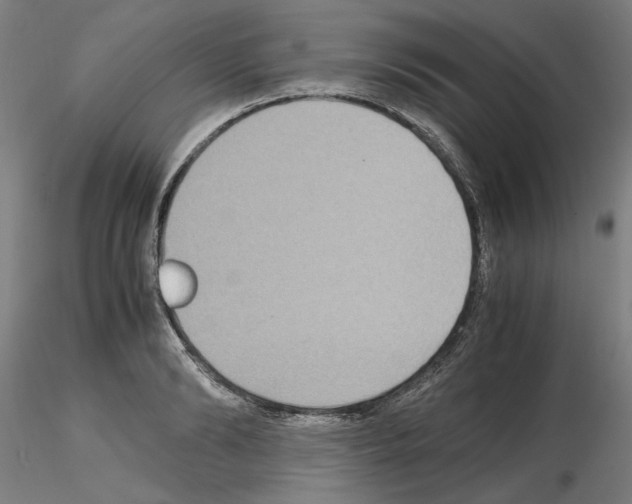 X0000115600894200912221144