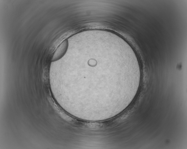 X0000115600897200912221144