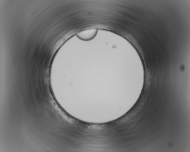 X0000115600898200912221144