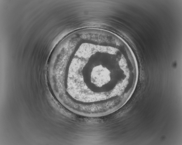 X0000115600899200912221144