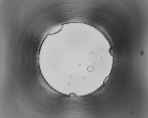 X0000115600900200912221144