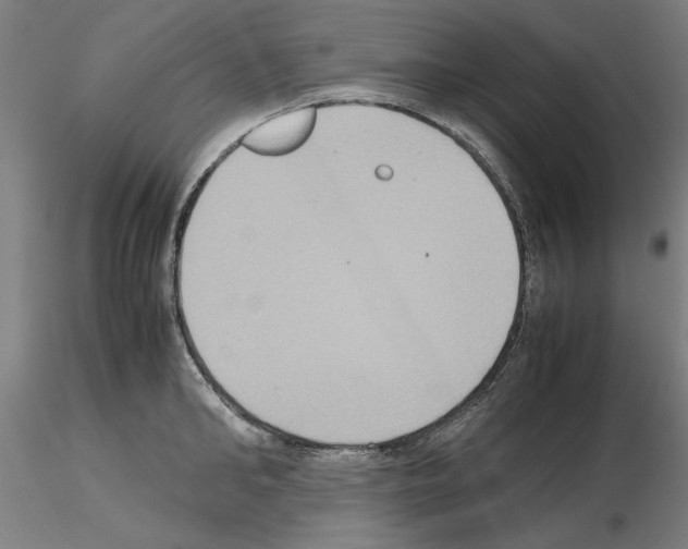 X0000115600902200912221144