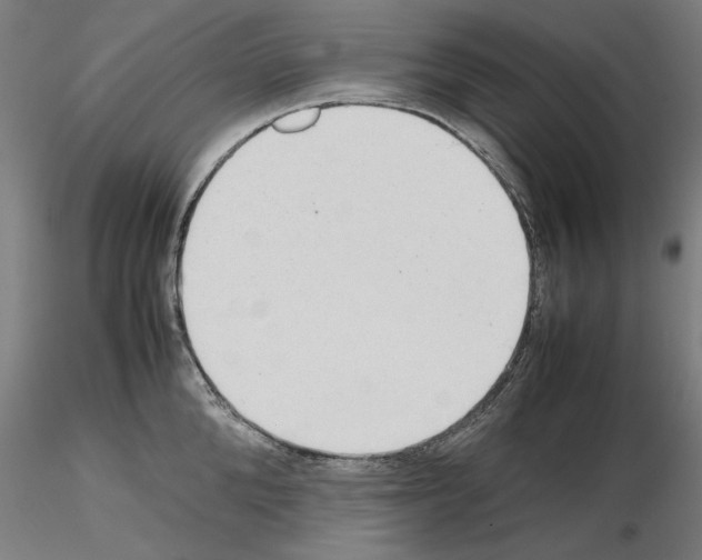 X0000115600904200912221143