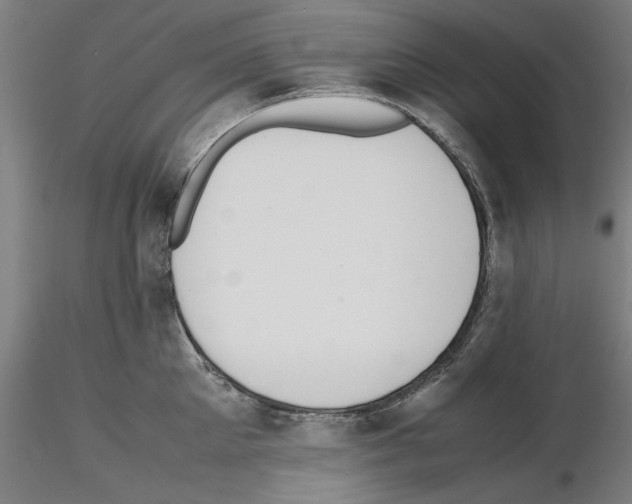 X0000115600905200912221143