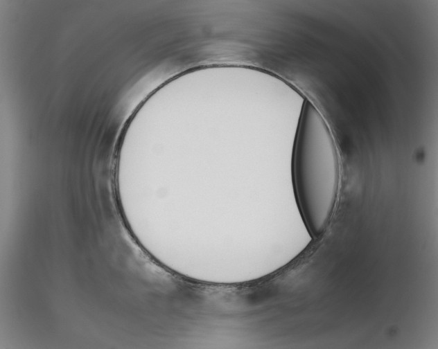 X0000115600909200912221143