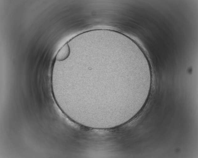 X0000115600910200912221143