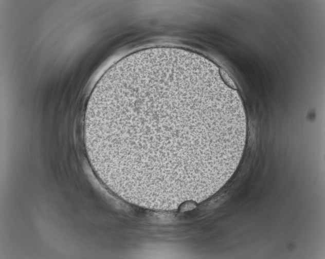 X0000115600911200912221143