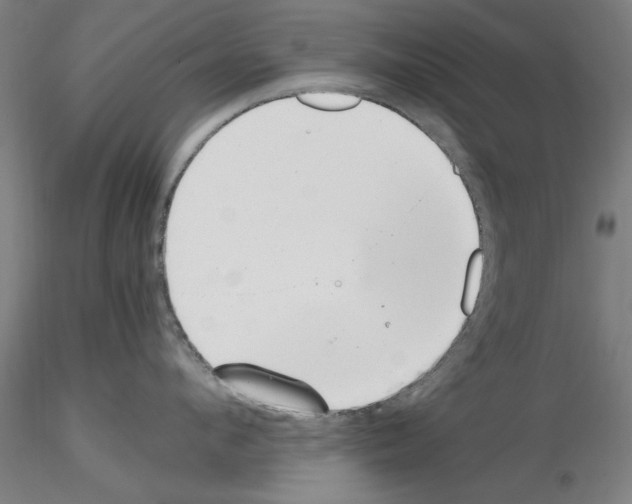 X0000115600912200912221143