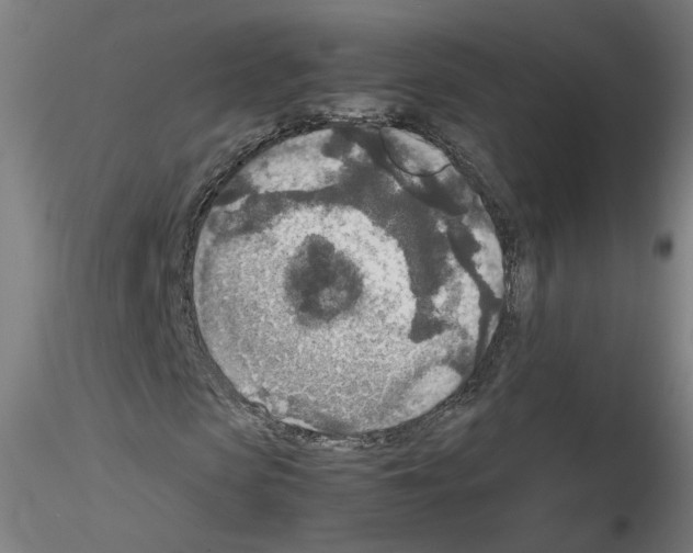 X0000115600913200912221143