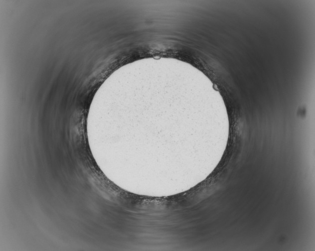 X0000115600914200912221143