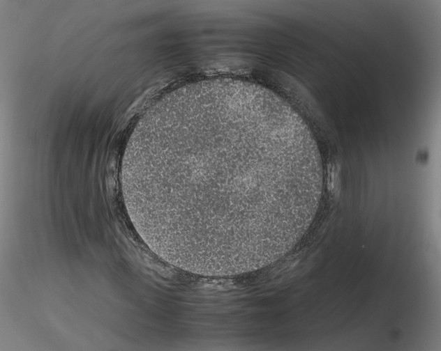 X0000115600915200912221143