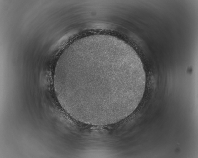 X0000115600918200912221143