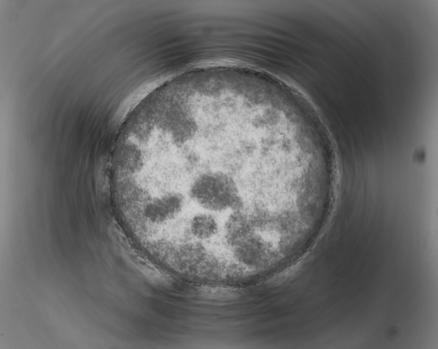 X0000115600921200912221143