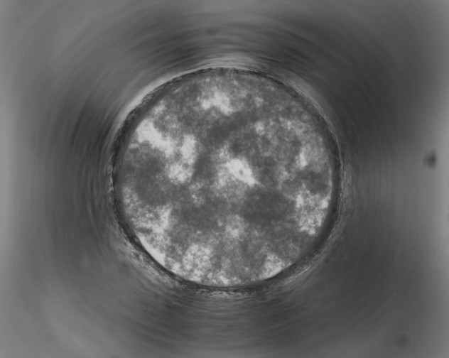 X0000115600923200912221143