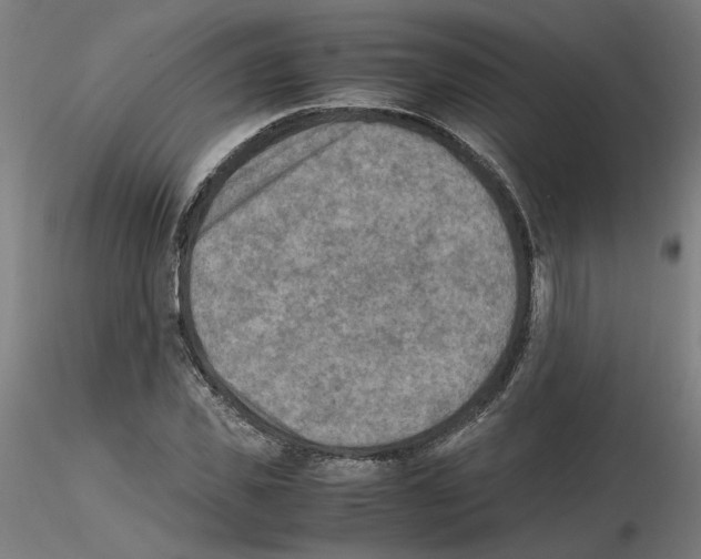 X0000115600925200912221143