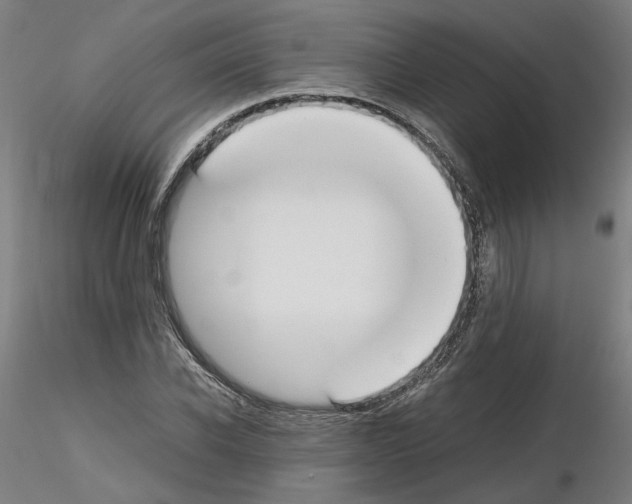 X0000115600926200912221143