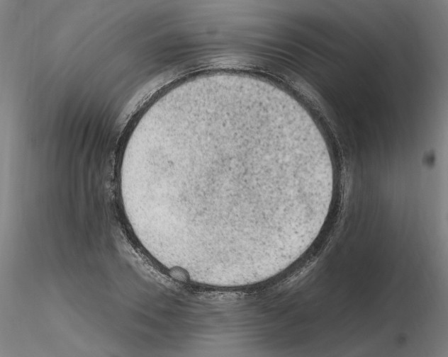 X0000115600930200912221143