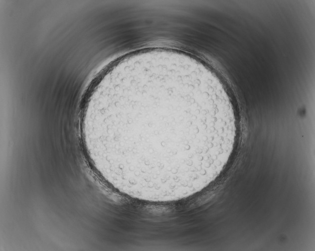 X0000115600931200912221143