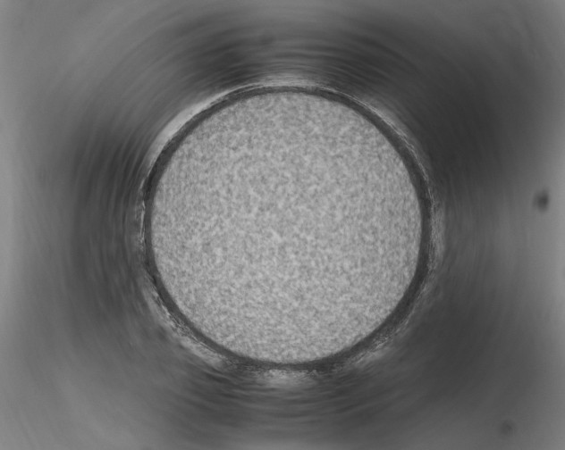 X0000115600933200912221143