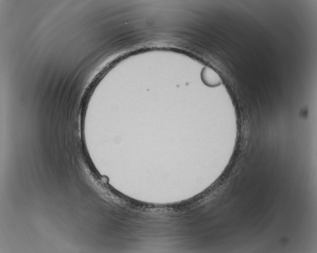 X0000115600934200912221143